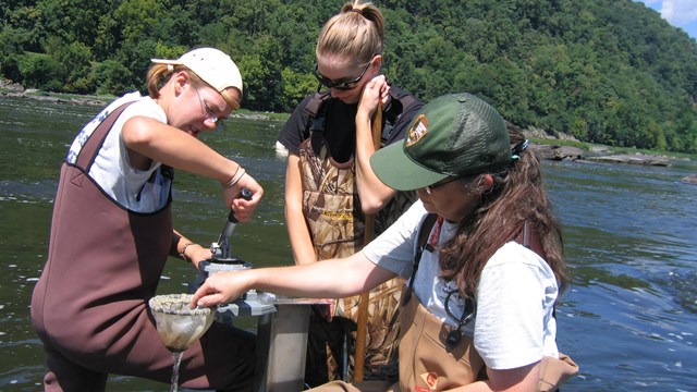 Ranger and volunteers collecting macro-invertebrates in the river