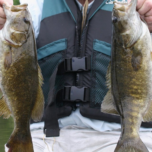 Things To Do Gauley River National Recreation Area (U.S. National