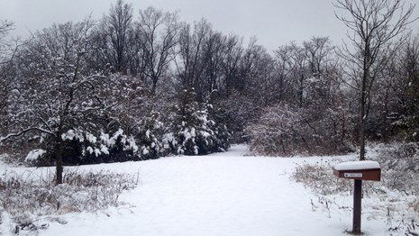 Picture of the Wildlife Refuge in the snow.