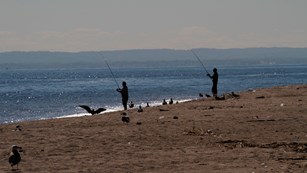 Man fishing on the beach