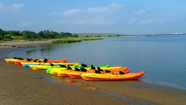 Kayaks on the shore