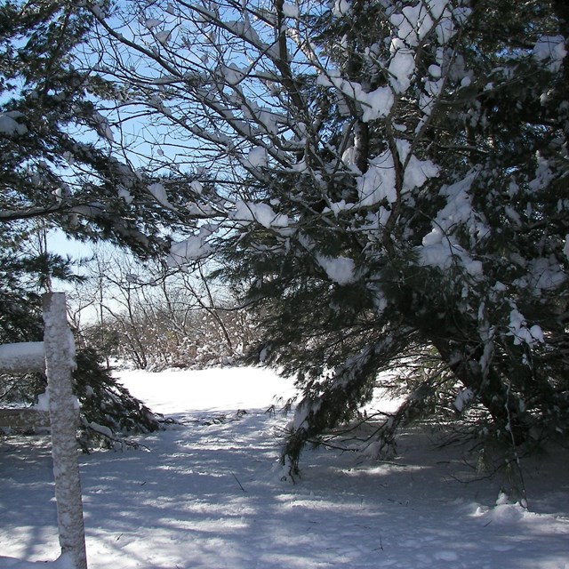 A snowy day at Floyd Bennett Field