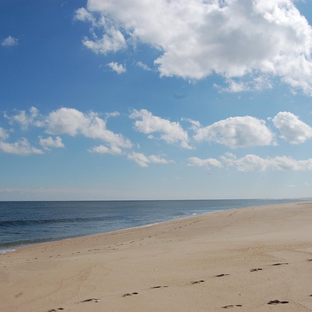 Beach at Sandy Hook