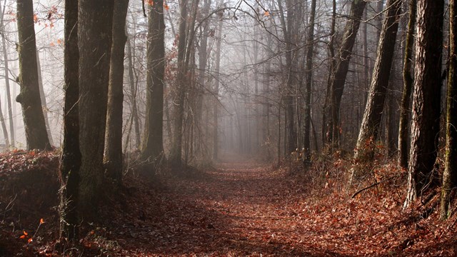 Natchez Trace Parkway