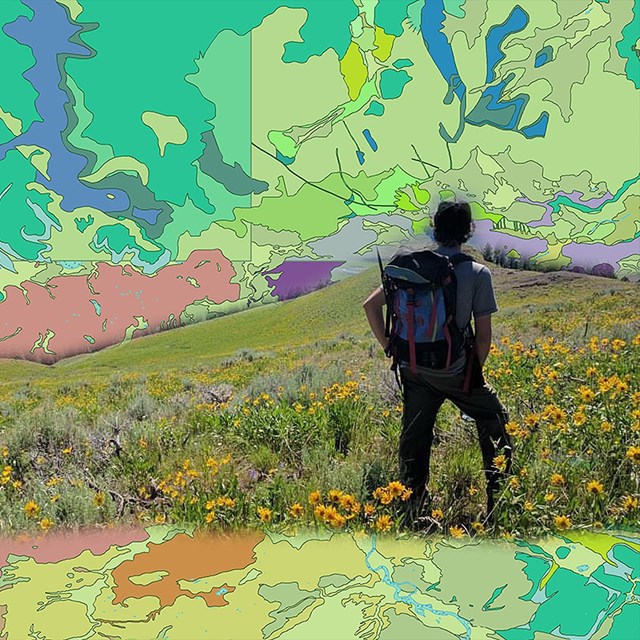 photo-illustration person in meadow with geologic map background