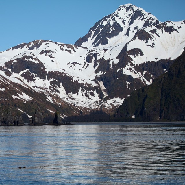 Kenai Fjords National Park NPS Photo/Jim Pfeiffenberger