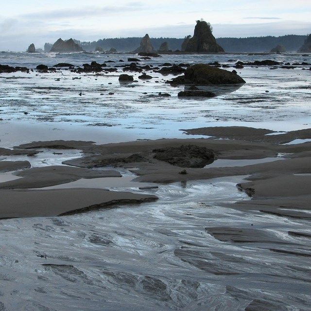 wet sand and rocks exposed during low tide