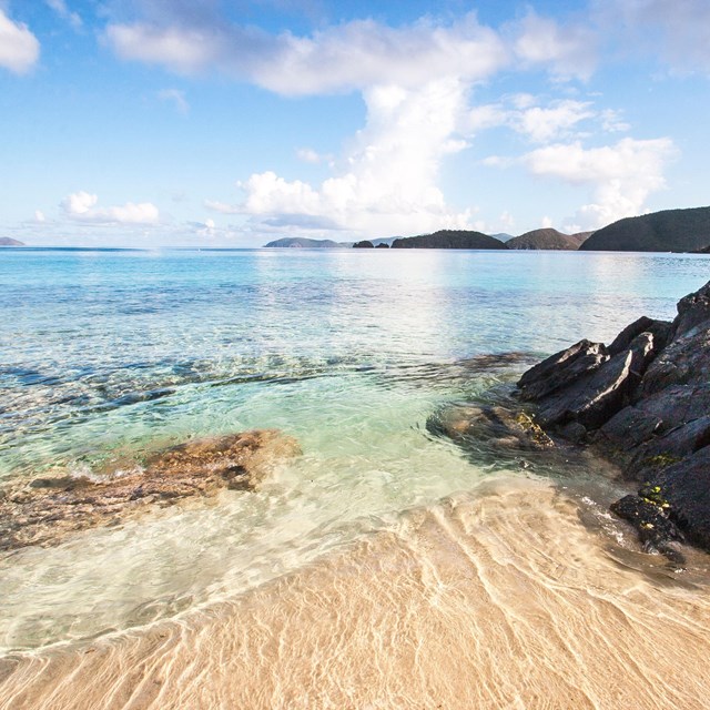 coral sand beach