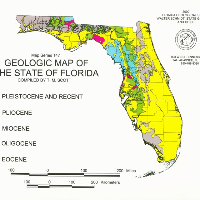 geologic map of Florida 