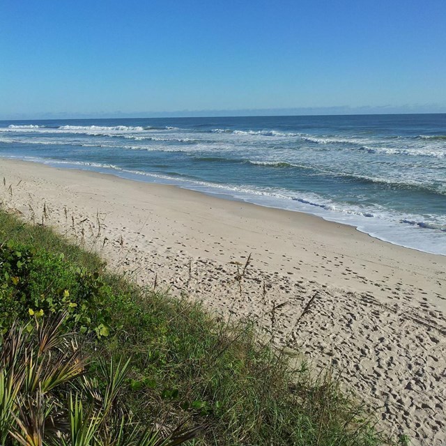 sandy beach with vegetated dunes 