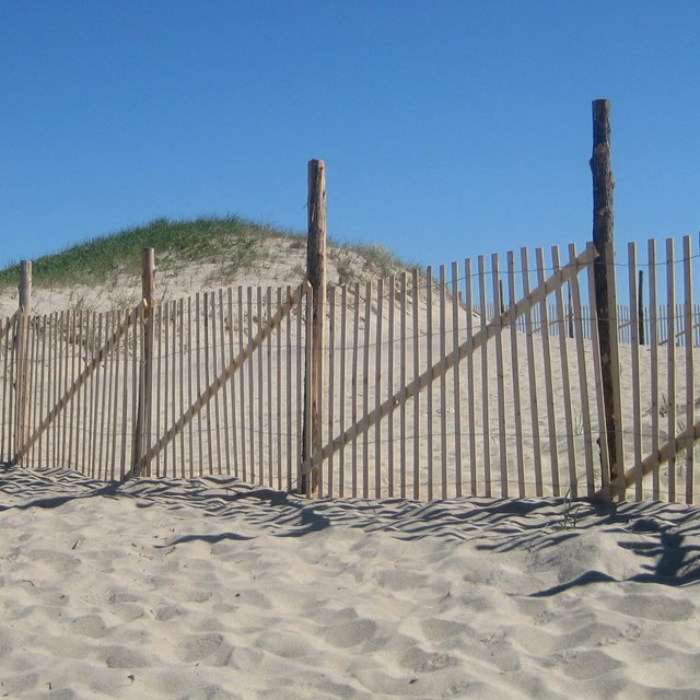 wooden slat sand fencing
