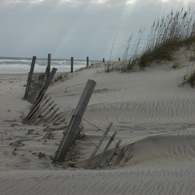 sand fencing and dune