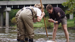 Volunteers collecting water data
