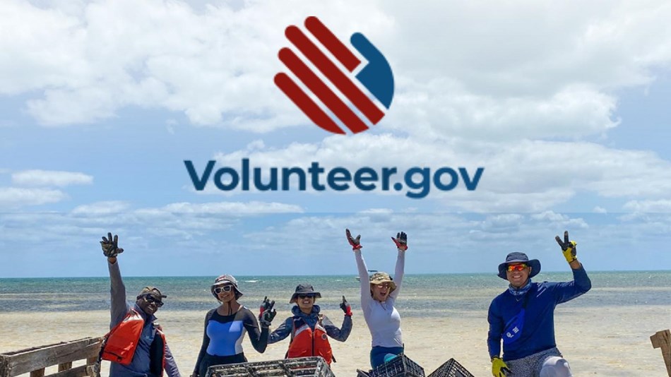 Group of volunteers at a cleanup on the beach. Text reads "volunteer.gov"