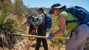 Volunteer News