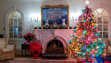 A colorful Christmas tree stands in a formal living room with a fireplace, mantel, painting and rug 
