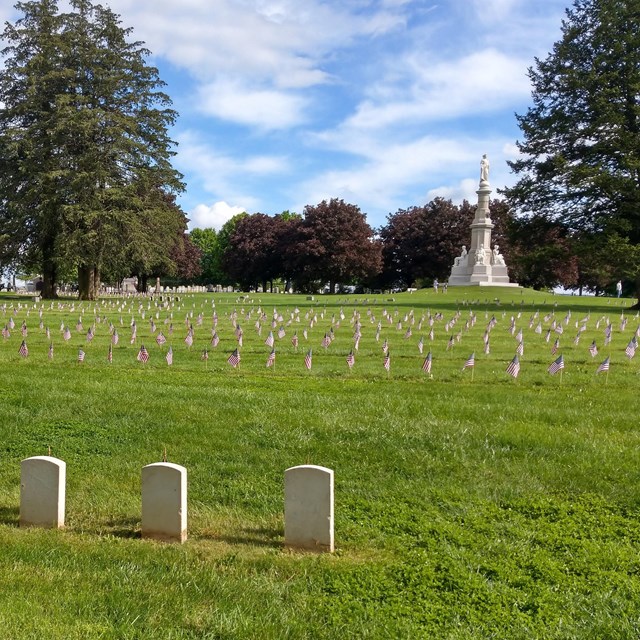 Graves with United States Flags in the national cemetery