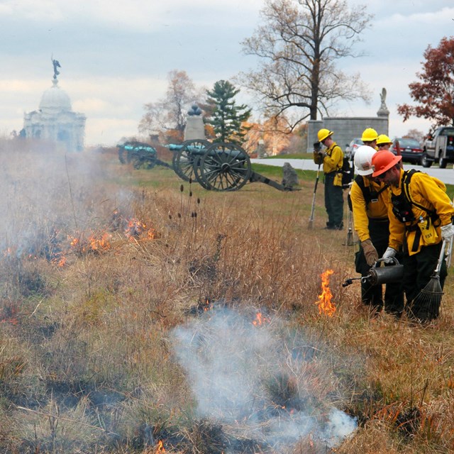 A fire management team burning away excess underbrush to prevent future wildfires.