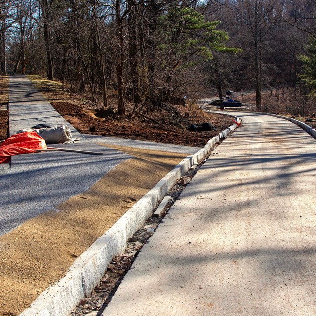 A sidewalk lined by a dirt path is adjacent to a road. A portion of the sidewalk branches off.