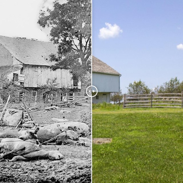Split picture of the Trostle barn. Left side is black and white and dead horses. Right side is color