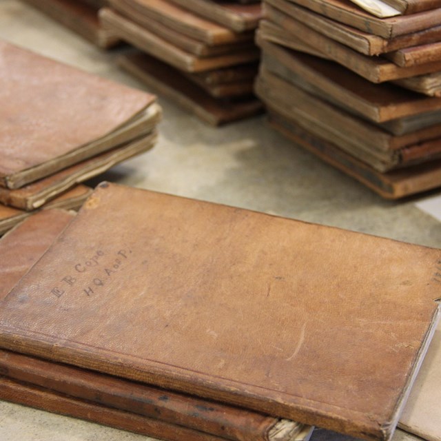 A pile of historic books of various sizes and colors were donated to the park.