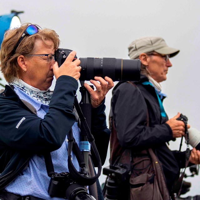 Two photographers stand taking pictures. In the foreground is a woman. In the background in a man.