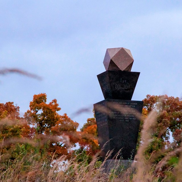 A monument in a grassy field with orange trees in the background.