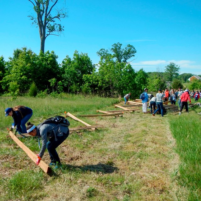 A group of people begin to build a wooden fence in the middle of a mowed green grass field.