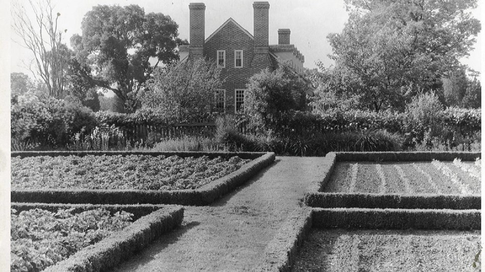 The colonial garden as it appeared in 1936