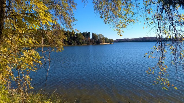 View of Popes Creek on sunny day outlined with fall colors on trees
