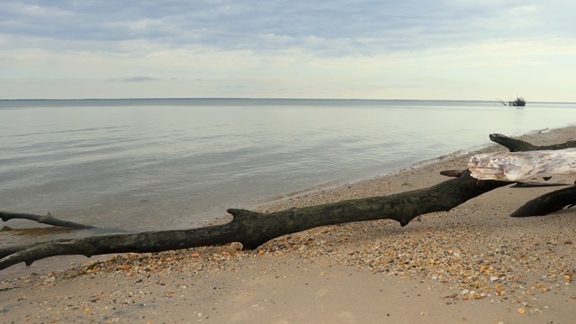 Stop 11: Potomac River Beach