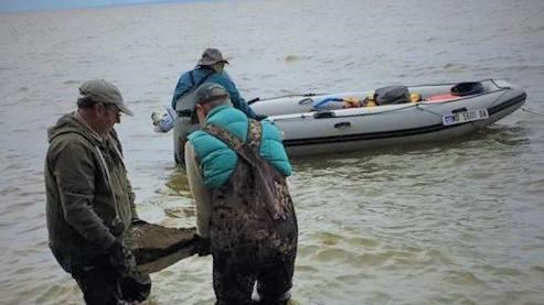  Members of the “Fossil Dolphin” rapid response team carry the plaster jacket containing “Fossil Dol