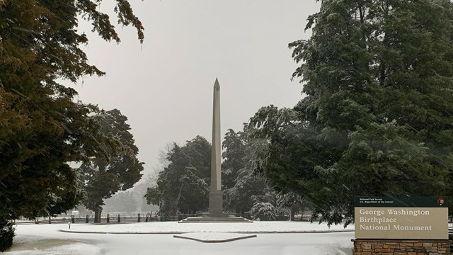 White obelisk, surrounded by trees and road with snow. 
