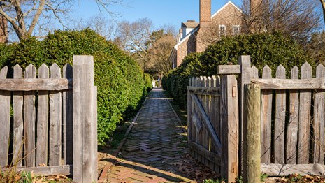 Colonial Revival Garden, wooden gate and brick path with boxwoods on either side