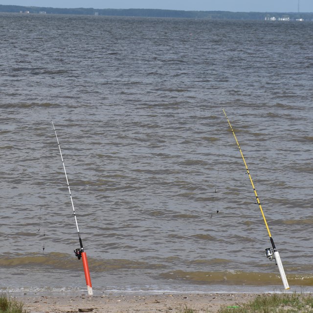 Tackle Box, fishing rod, and fishing net