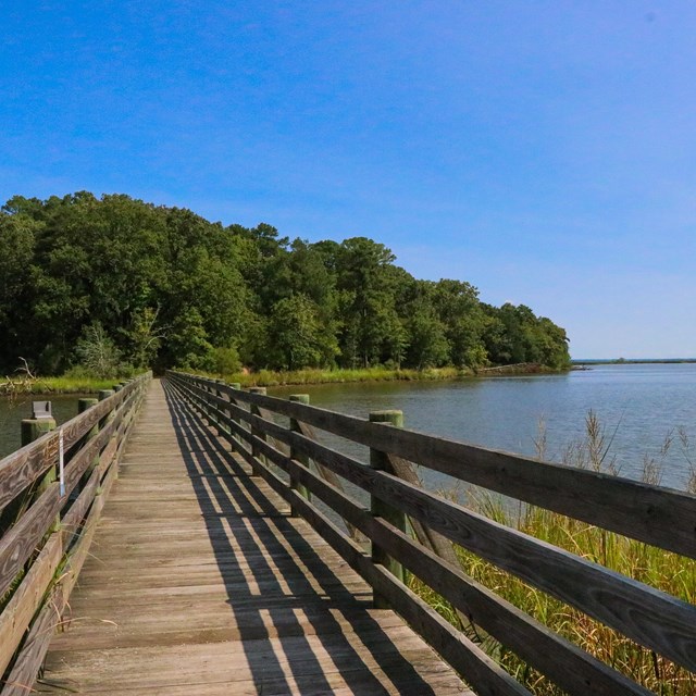 A wooden bridge stretching over a creek from shore to shore on a clear blue day.