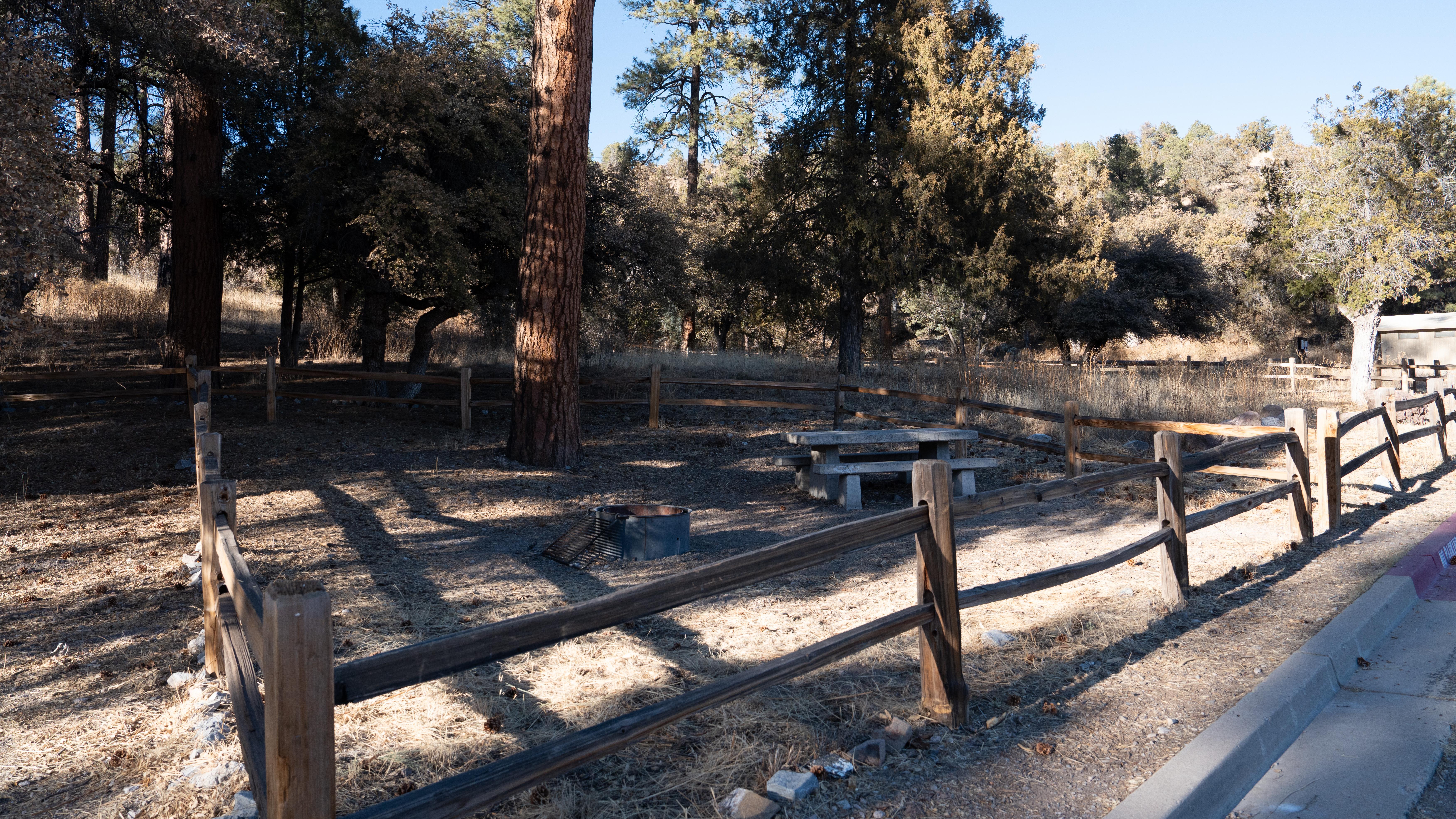 A campsite enclosed by wooden fencing, there is a metal fire ring and picnic table within the site