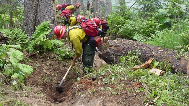 line of firefighters use hand tools to dig in backcountry