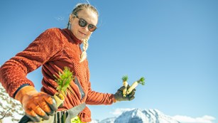 A person in a bright fleece and sunglasses holds plants against a bright sky with mountains behind.