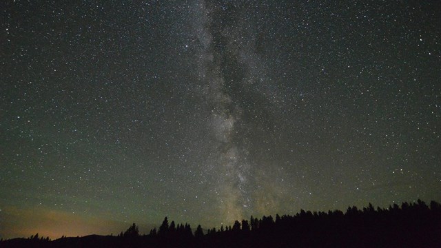 Vivid milky way over silhouetted trees