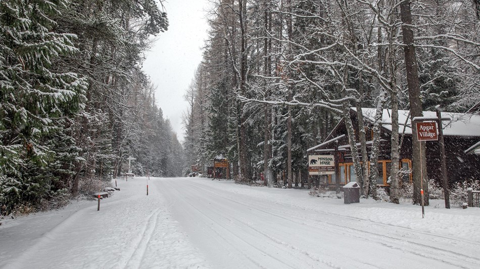 Apgar Village with the first snow of the season