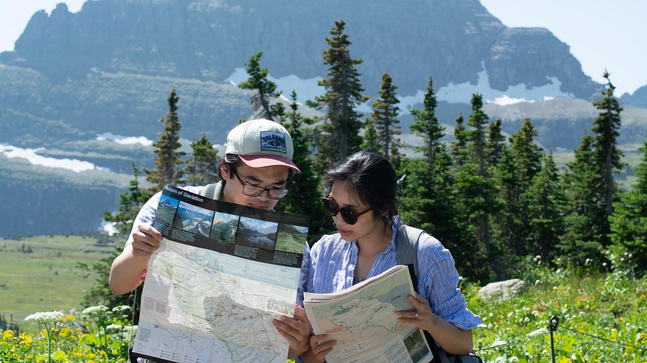 Two park visitors stand in an alpine meadow looking at a park map and park newspaper.