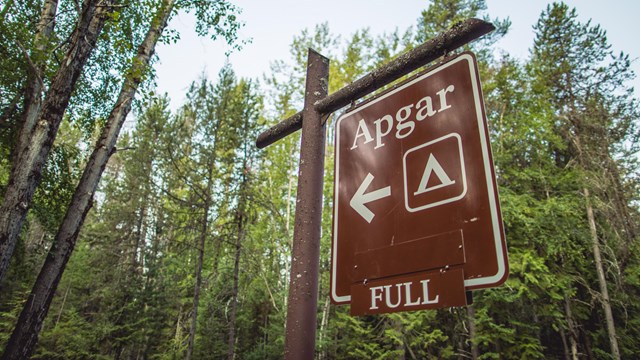 A campground sign that says full. Trees in the background. 