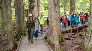 Image of park ranger leading a group of children on a hike through a cedar forest.