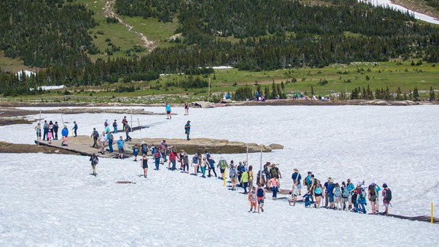 Large crowds of people walk across the snow in an alpine meadow with mountains in the background. 