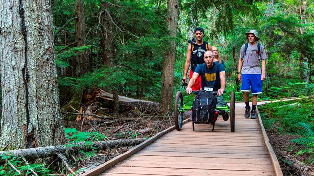 Off-road wheelchair and group on the accessible Trail of the Cedars boardwalk.