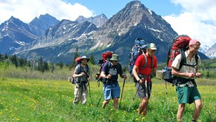 Four backpackers cross field of wildflowers with mountains in the background