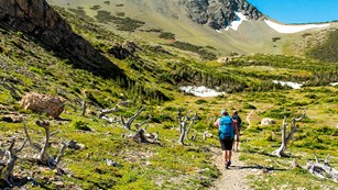 Two hikers proceed on a trail into the mountains of Glacier National Park
