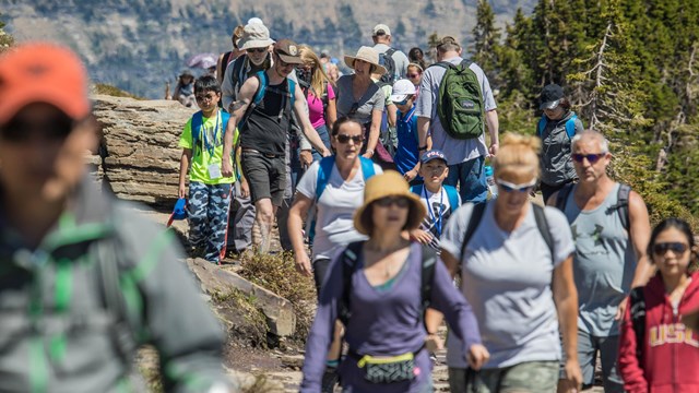 A crowd of people walk down a trail in the mountains. 