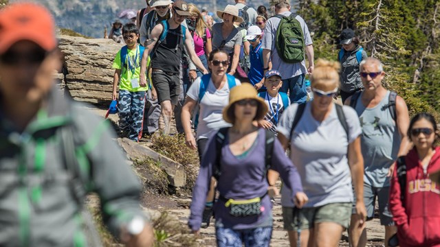 People walk down a busy trail in the mountains. 